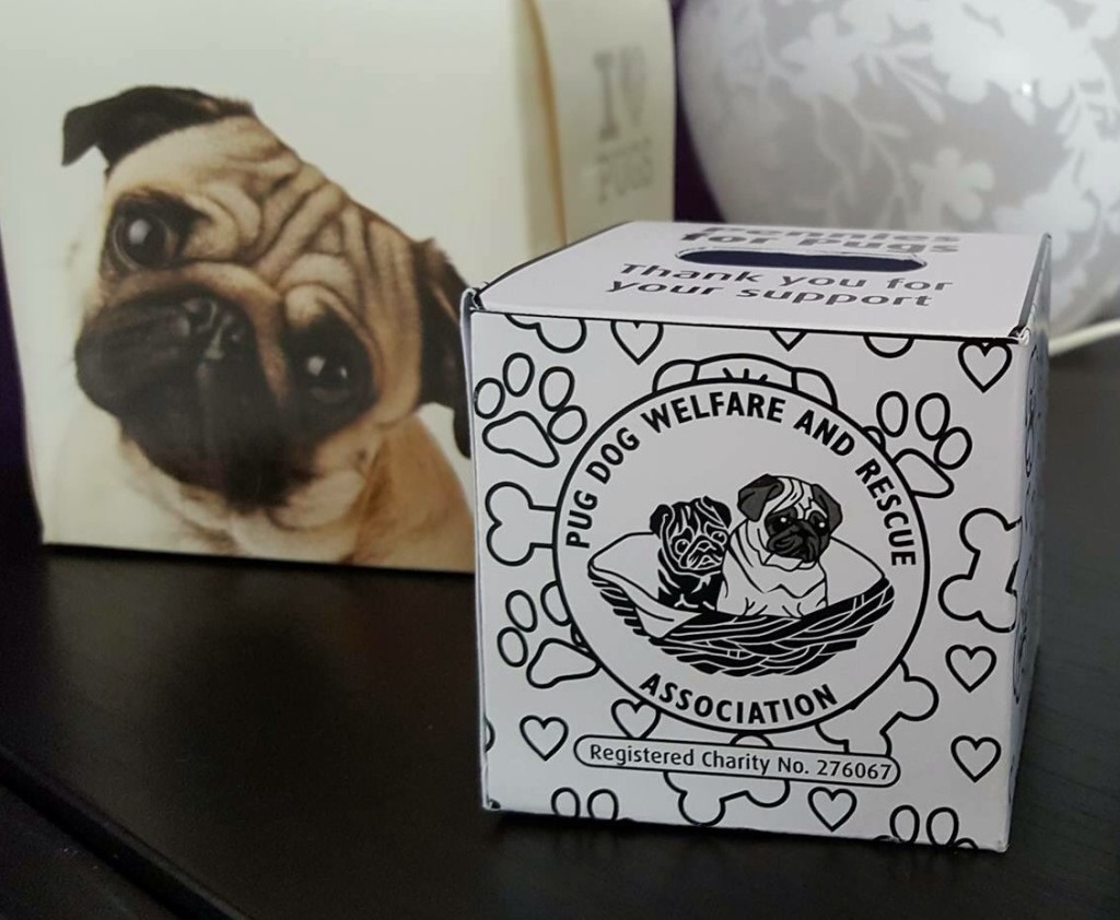 pug shelter uk developer the pug welfare rescue association pug shelter uk developer the pug welfare rescue association