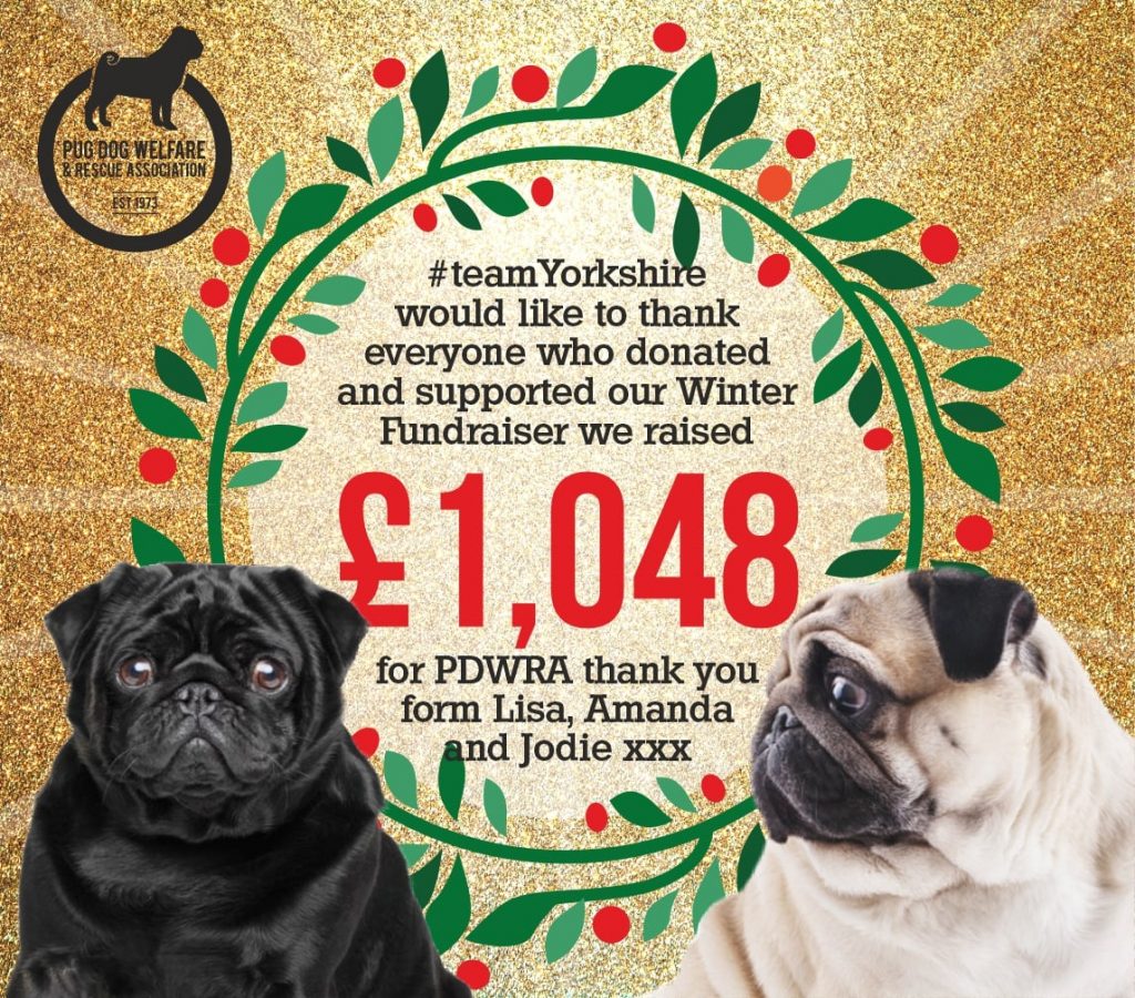 Donating to Pug Dog Welfare  The Pug Dog Welfare & Rescue Association