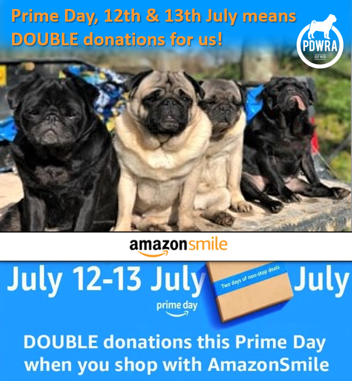 Pug rescue hot sale groups