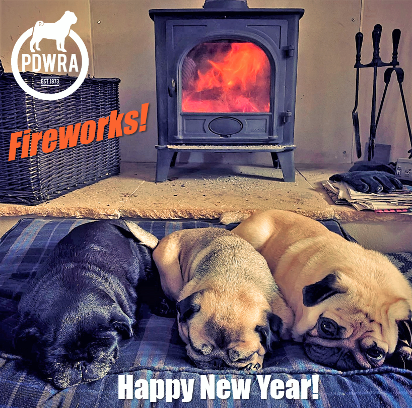 Pug happy hot sale new year