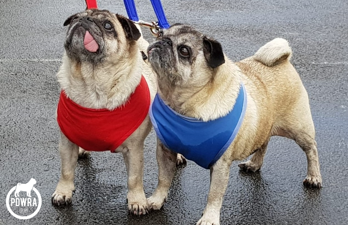 Minnie and Bugsby.