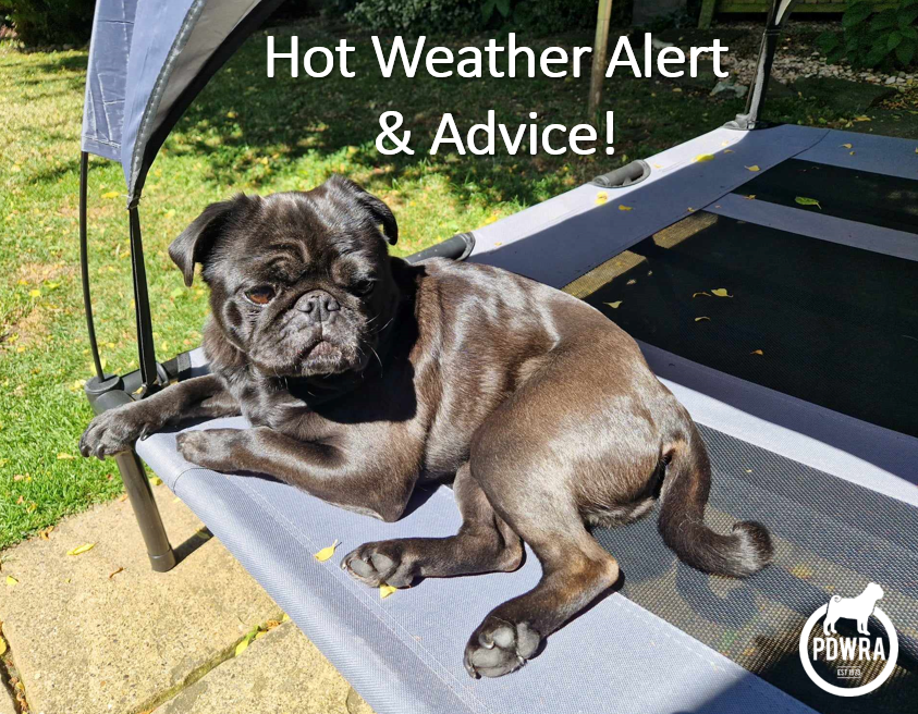 Heatwave Alert & Hot Weather Advice.
