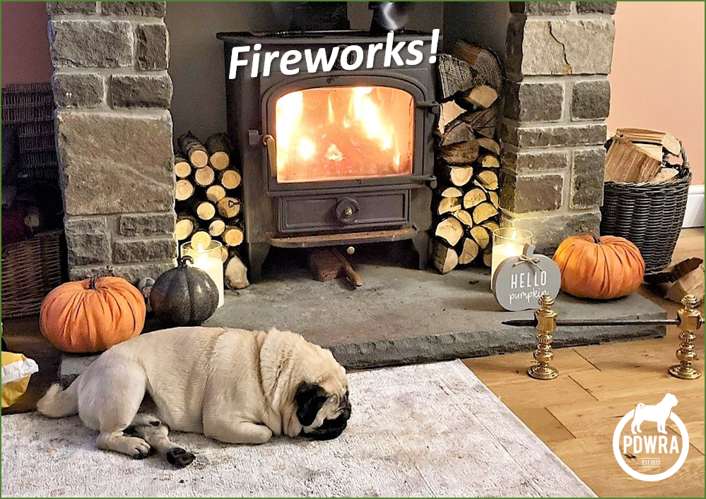 Fireworks & Your Pugs.