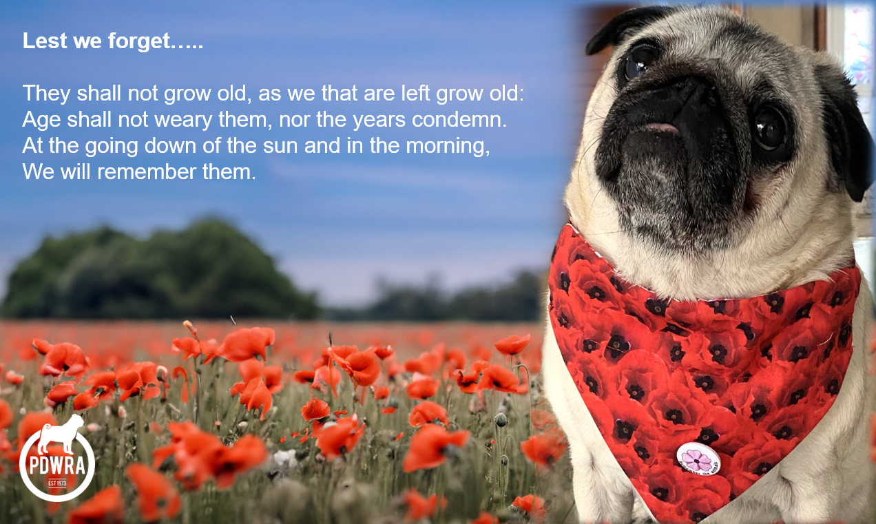 Lest we forget ….