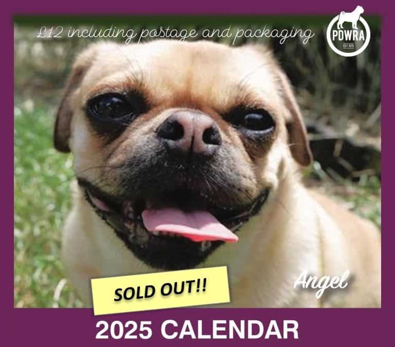 The PDWRA 2025 Calendar is on Sale NOW!