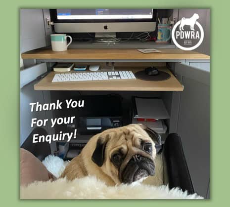 2025-04-30 (3) Thank you for your enquiry