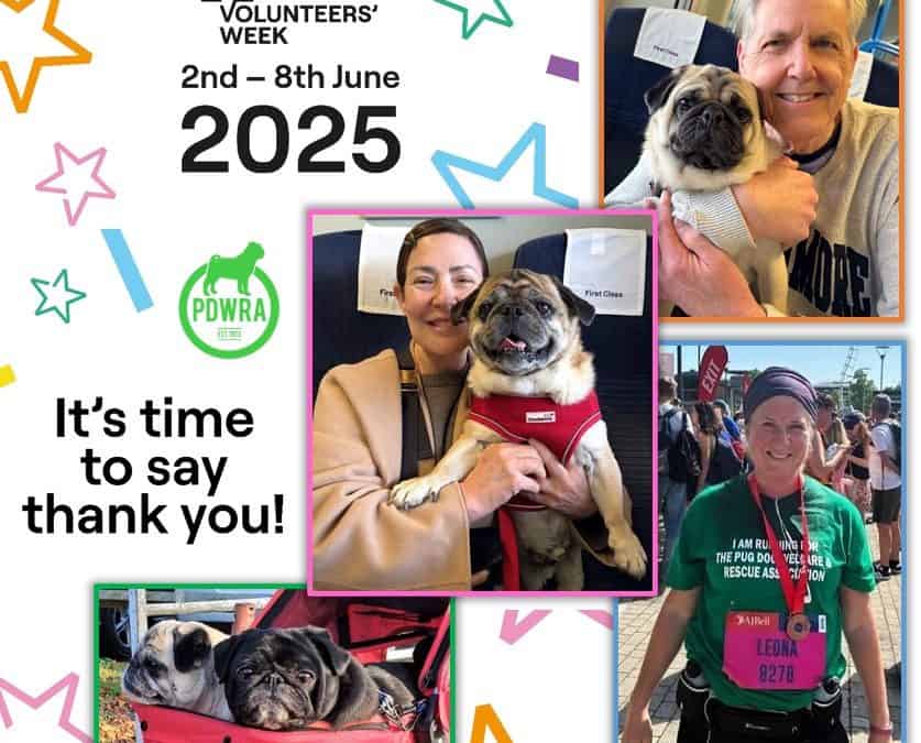 Celebrating National Volunteers’ Week with Thanks to All Volunteers!