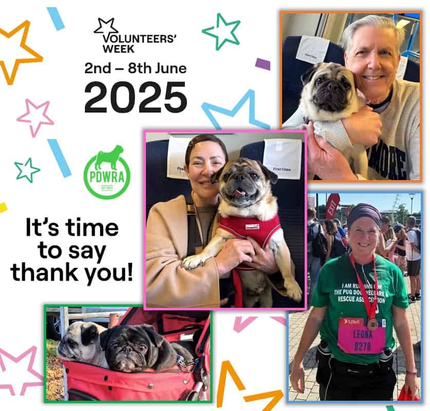Celebrating National Volunteers’ Week with Thanks to All Volunteers!