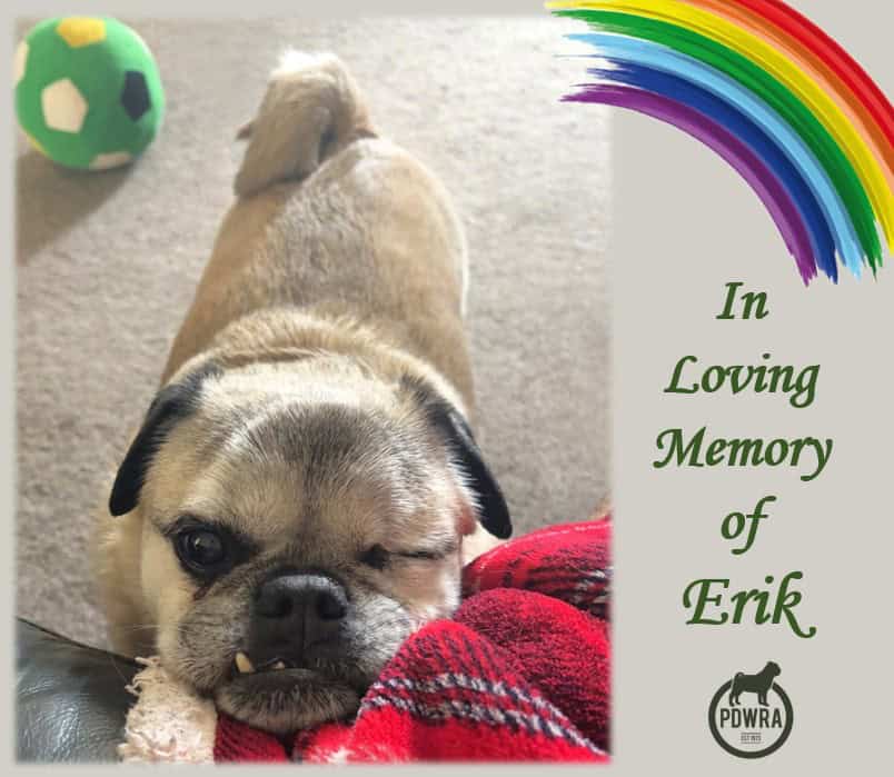 In Loving Memory of Erik!