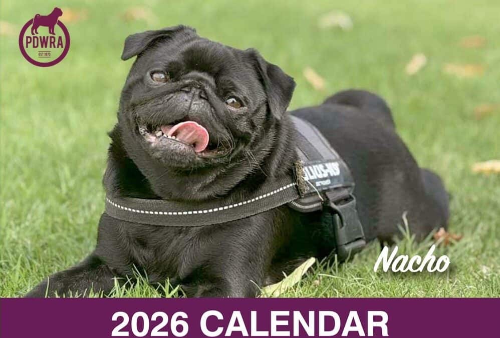 The 2026 PDWRA Calendar is now available!
