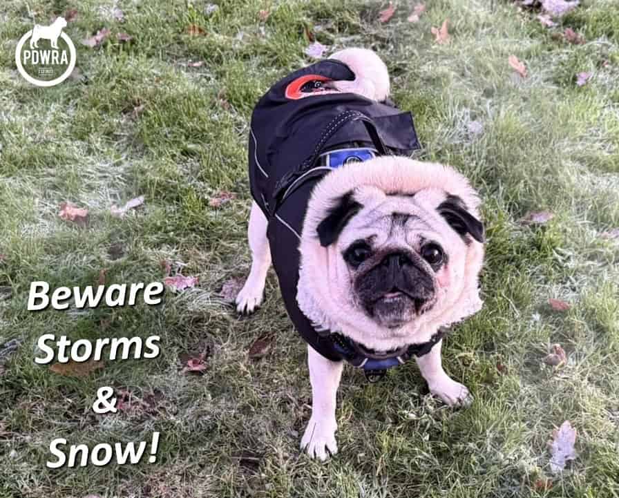 Amber Alert for Storms & Snow!