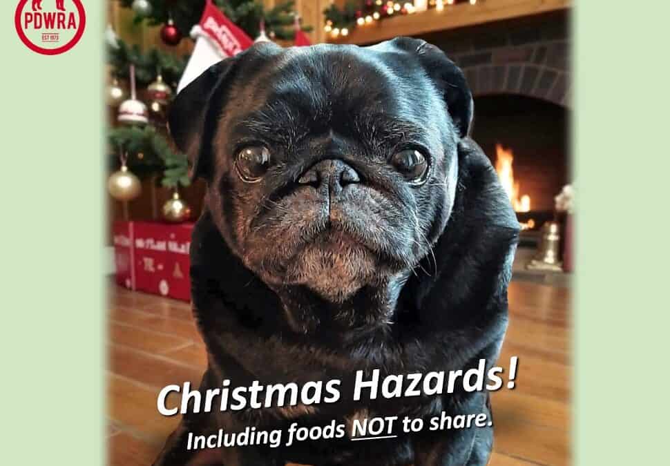 Christmas Joy versus Hazards!