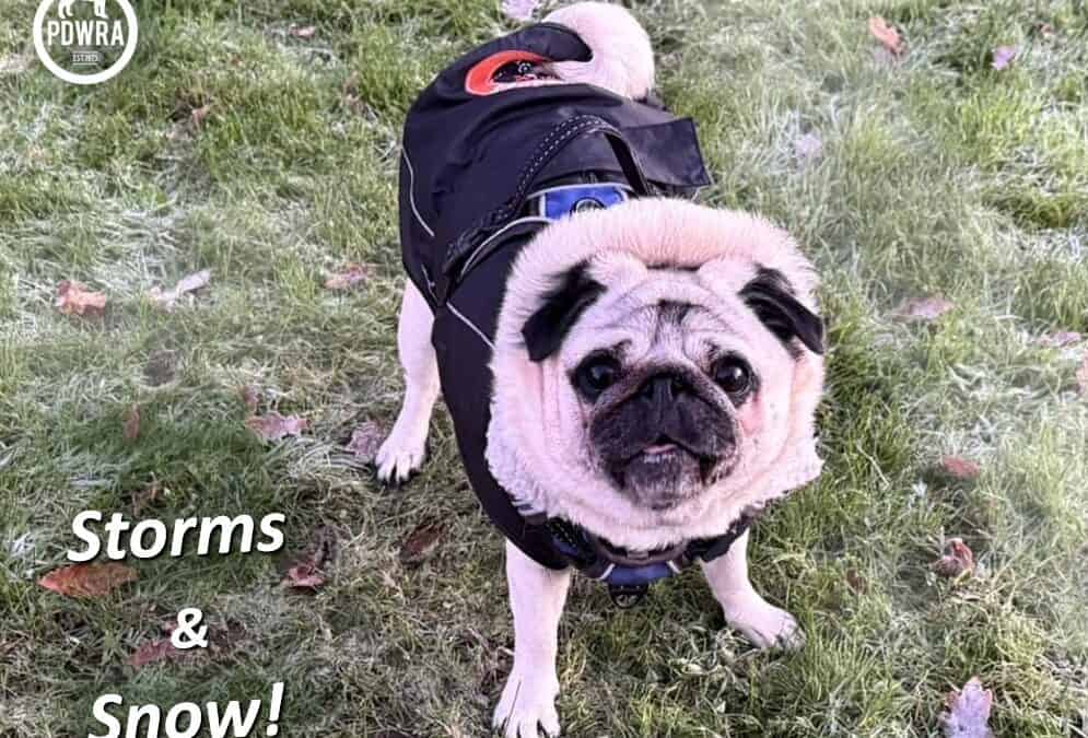 Amber Alert for Storms & Snow!