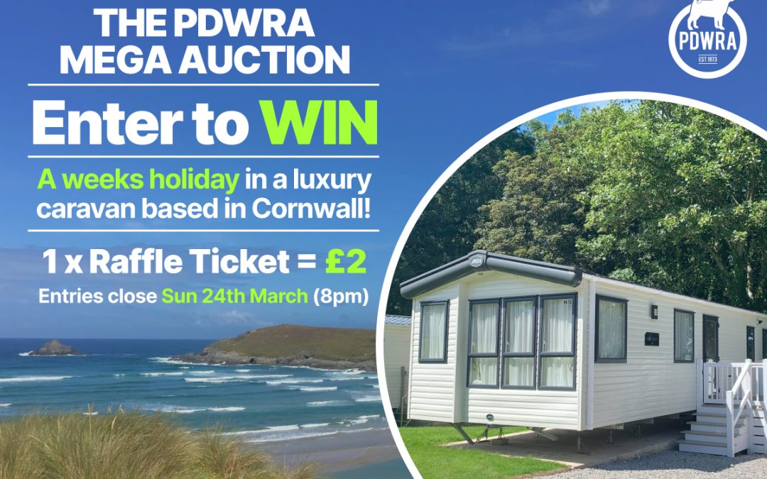 Enter our 1 Week Holiday in Cornwall PRIZE DRAW!