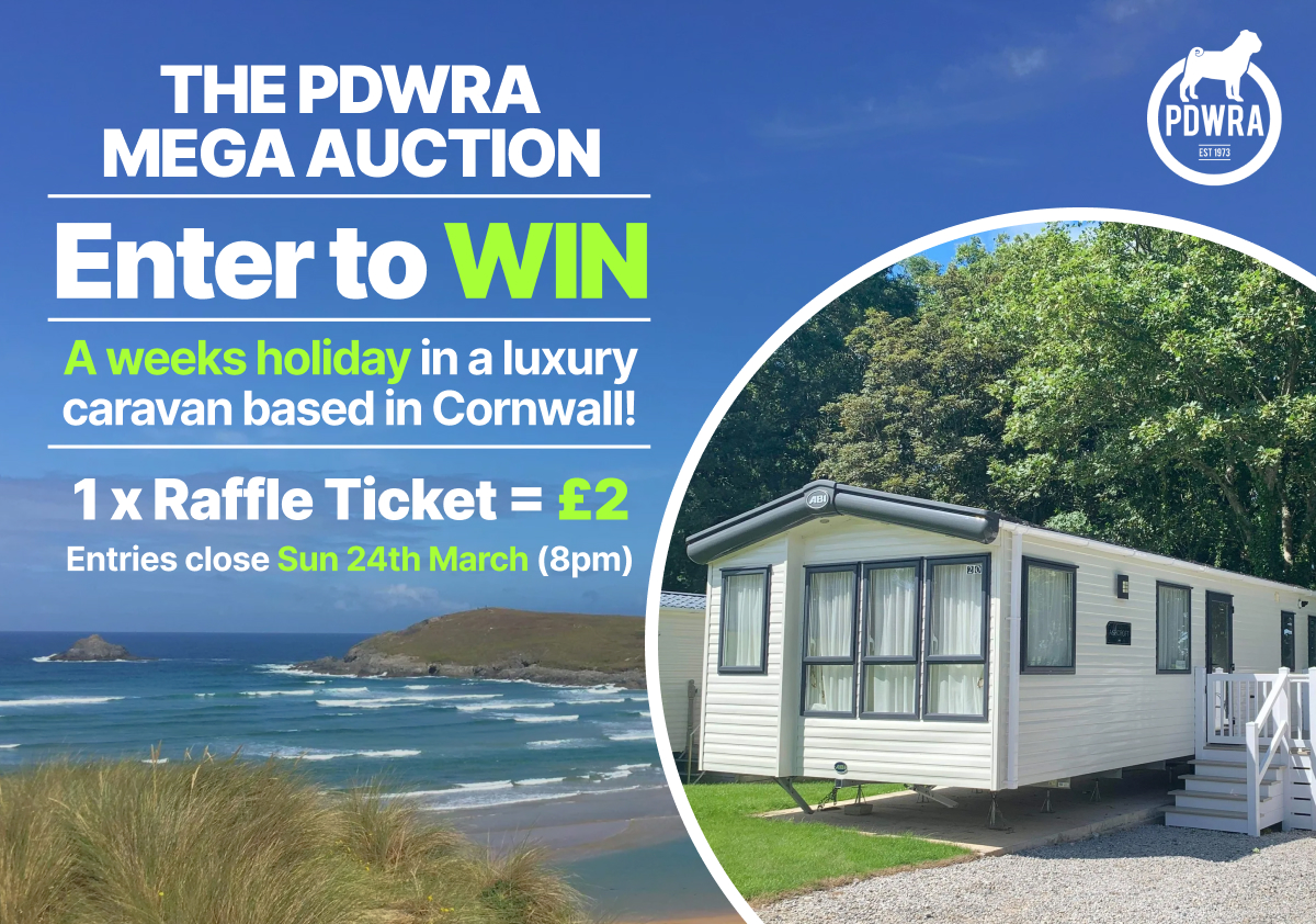Enter our 1 Week Holiday in Cornwall PRIZE DRAW!
