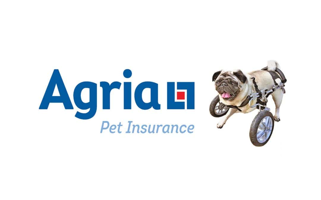 Agria Pet Insurance
