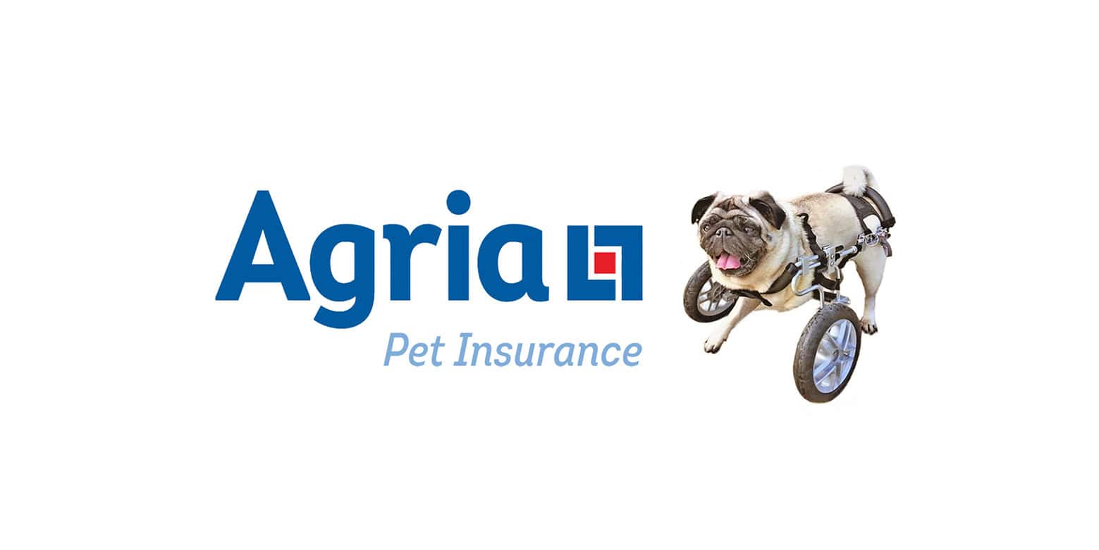 5 Weeks Free Cover from Agria!