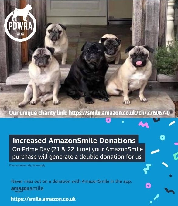 Double Donations With Amazon Prime 21 22 June The Pug Dog Welfare Rescue Association