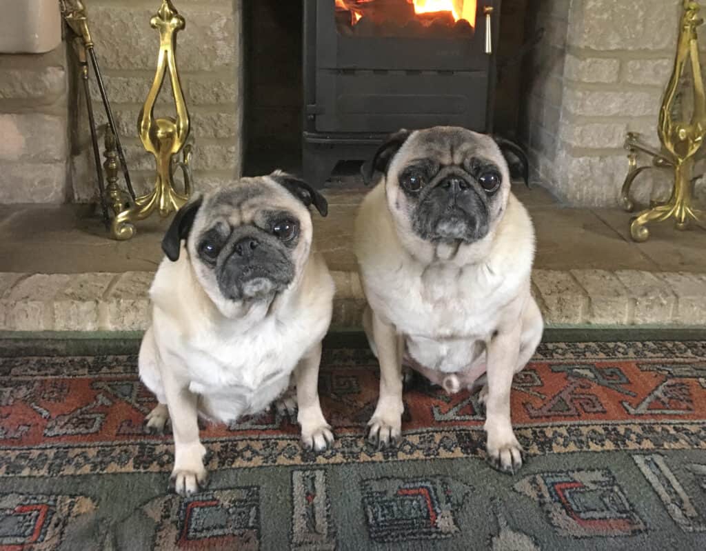 Arlo & Nora