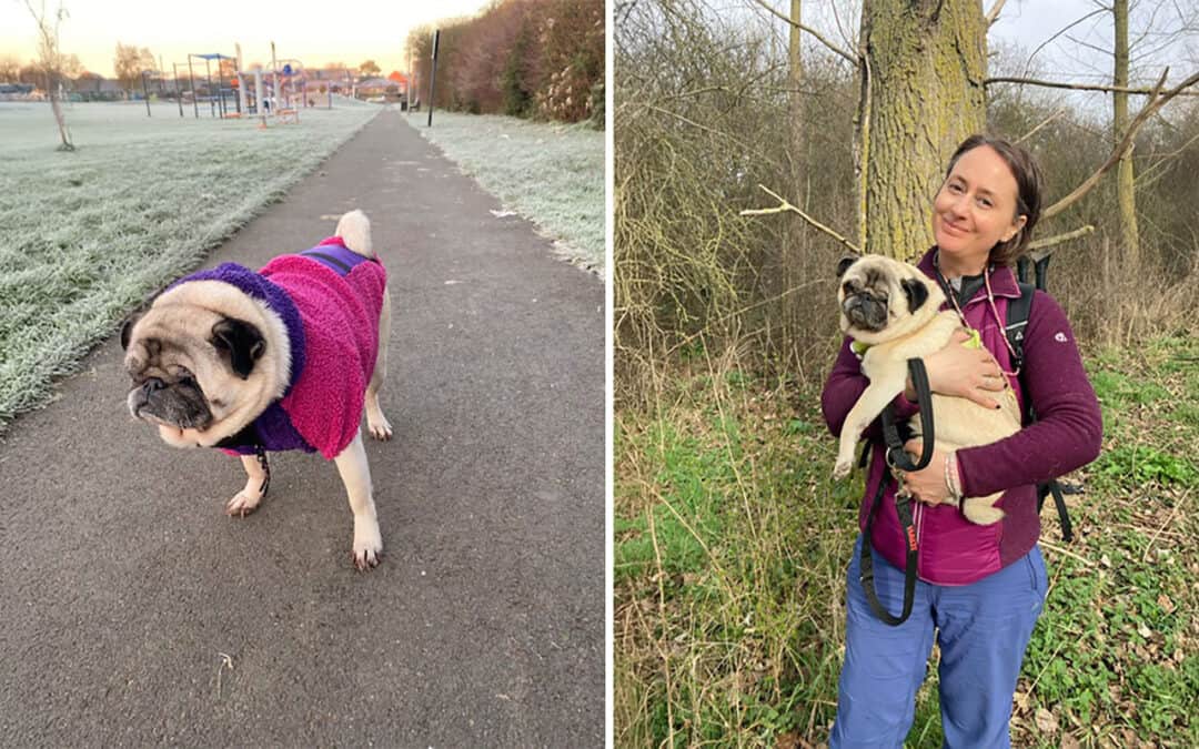 Tina’s Story of Adopting Bella