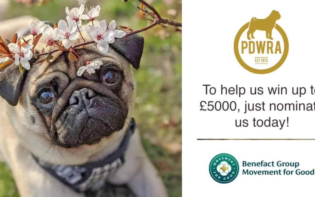 Nomnate the PDWRA on the Benefact Movement for Good Voting Page