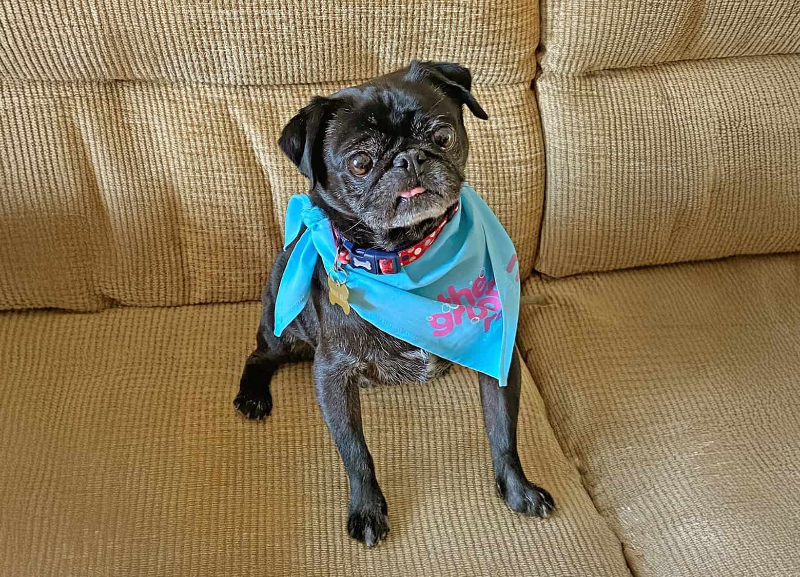 Beth’s Story of Adopting Bobby