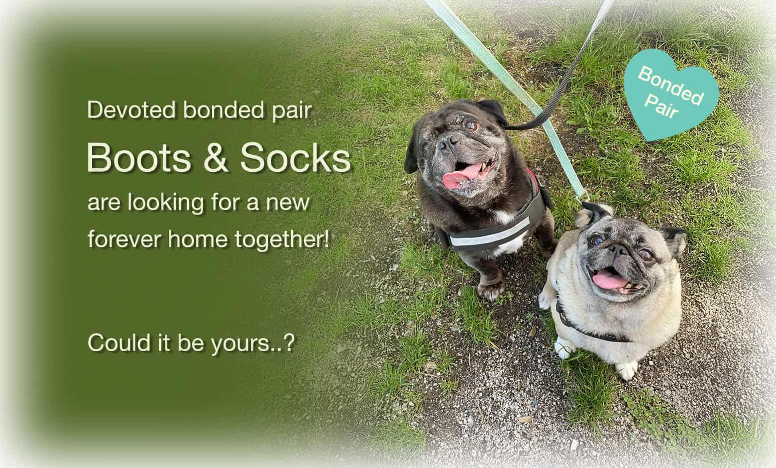 Double the Love II – Boots & Socks