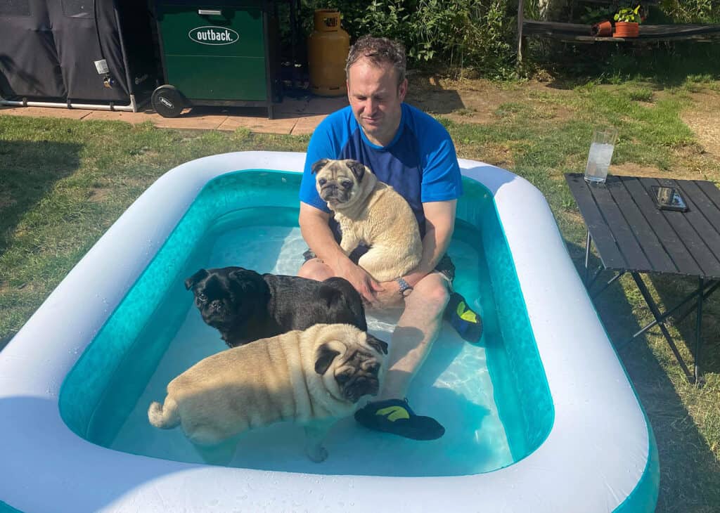 Brian in paddling pool with pugs