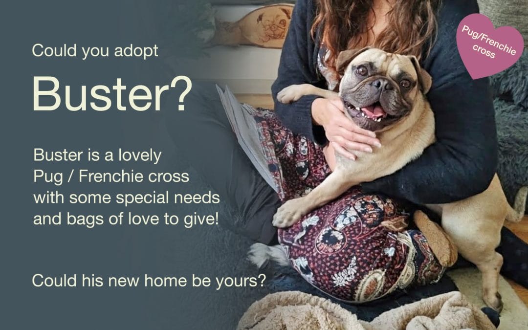 Meet Buster!