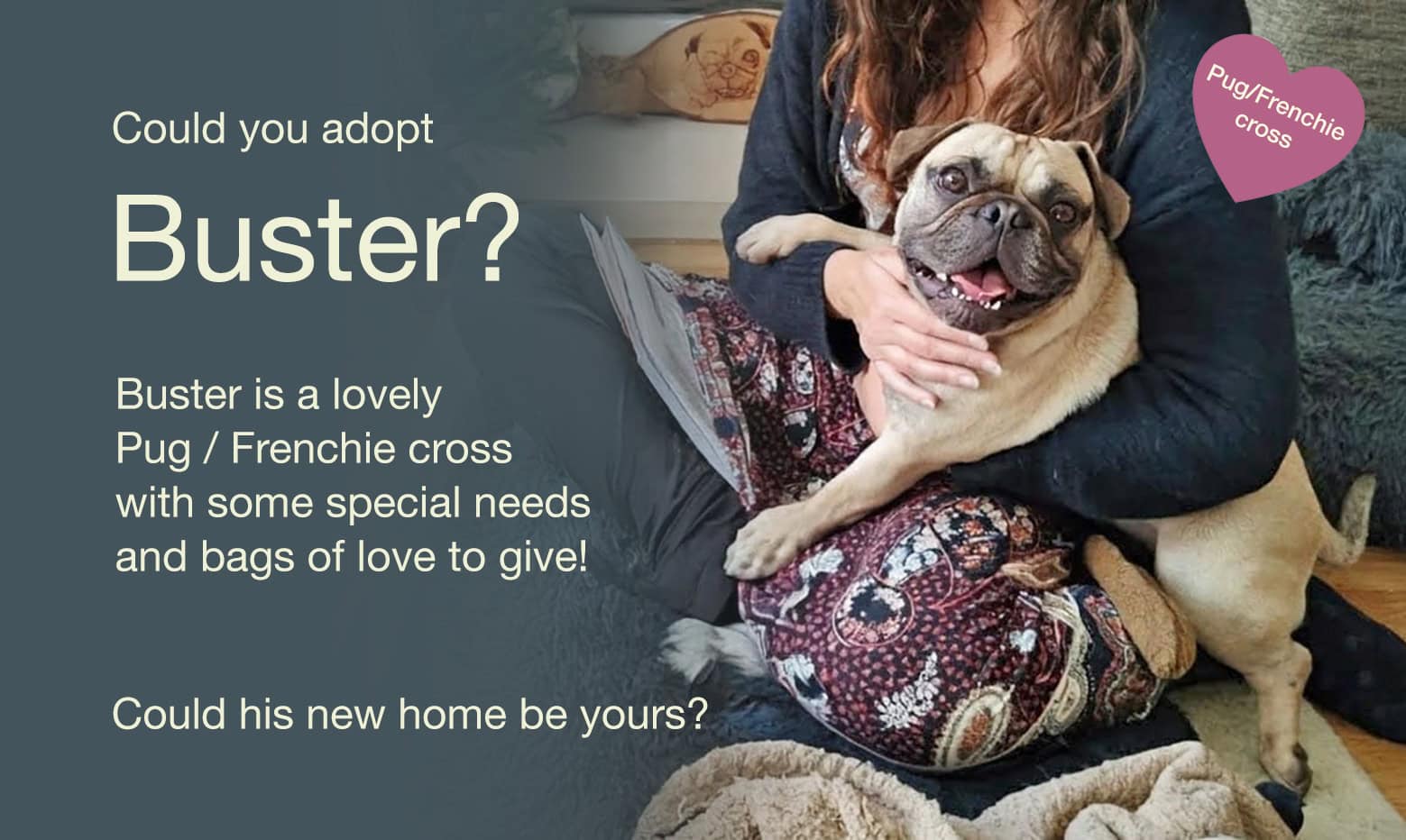 Meet Buster!