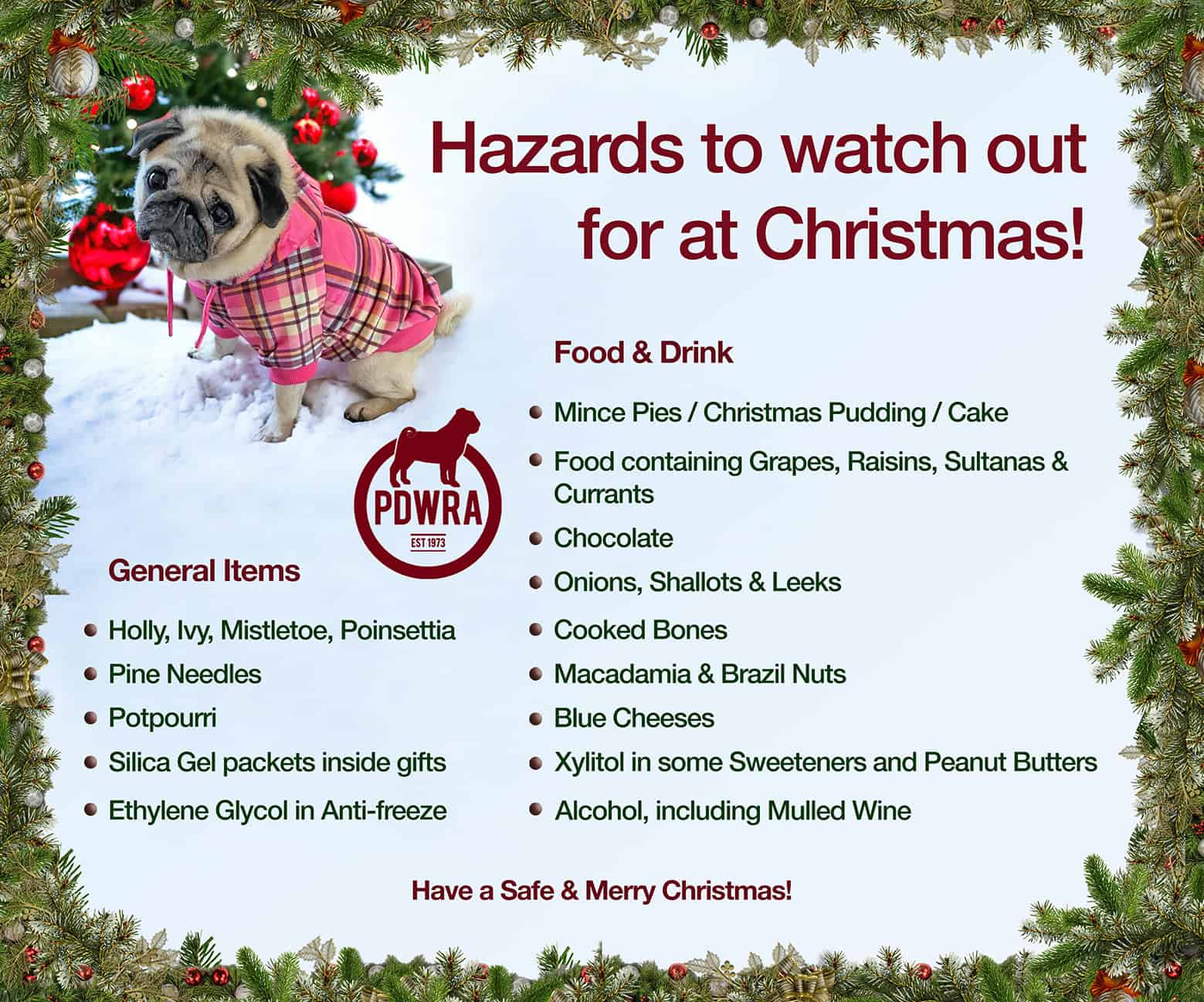 Christmas Hazards to our pugs!