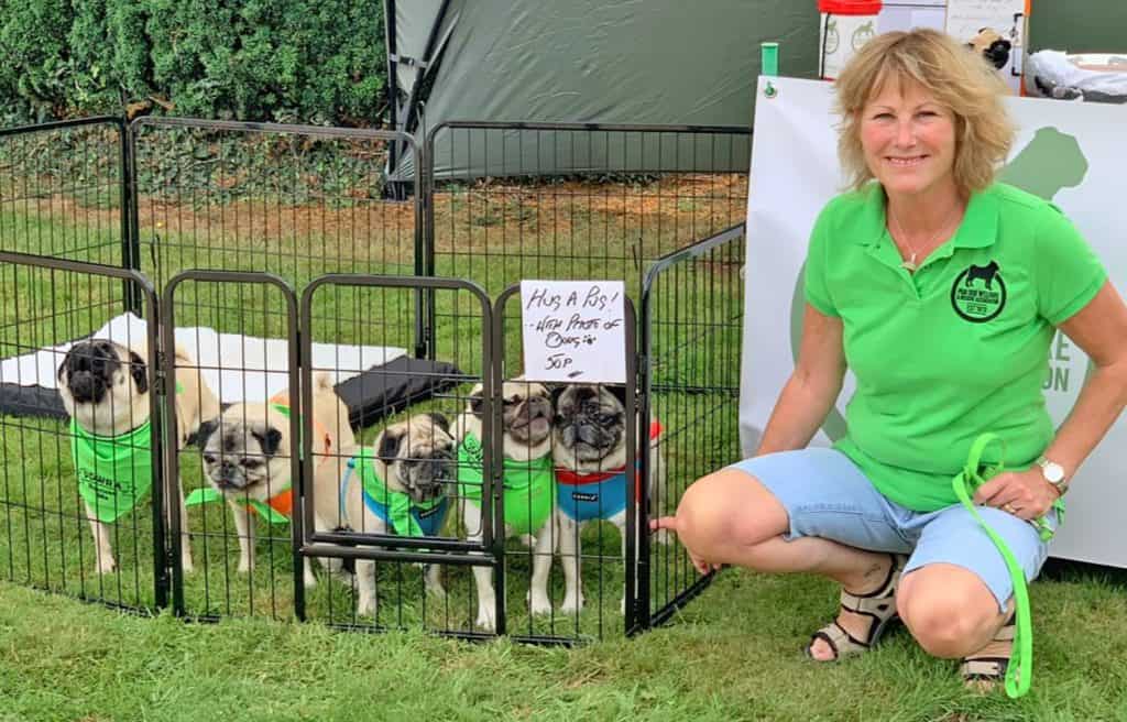 Helen Mckee with Pugs