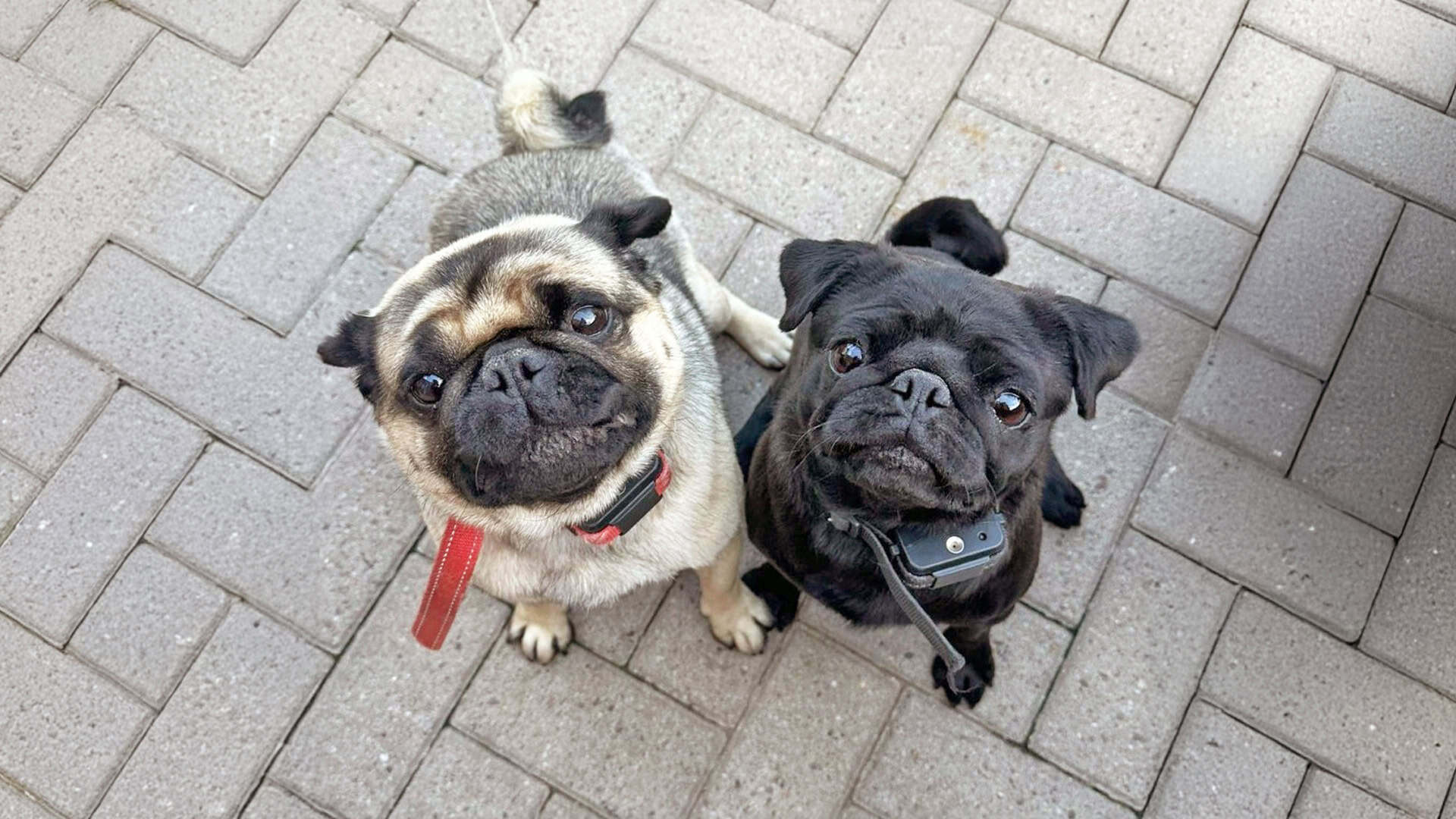 Kenny & Kiki