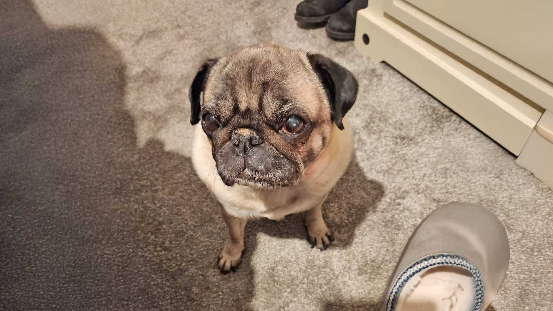 Winnie