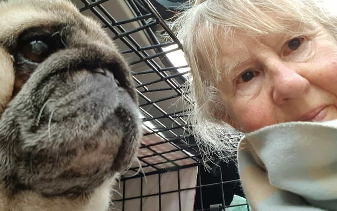 Could You Be a Volunteer Area Coordinator for the PDWRA?