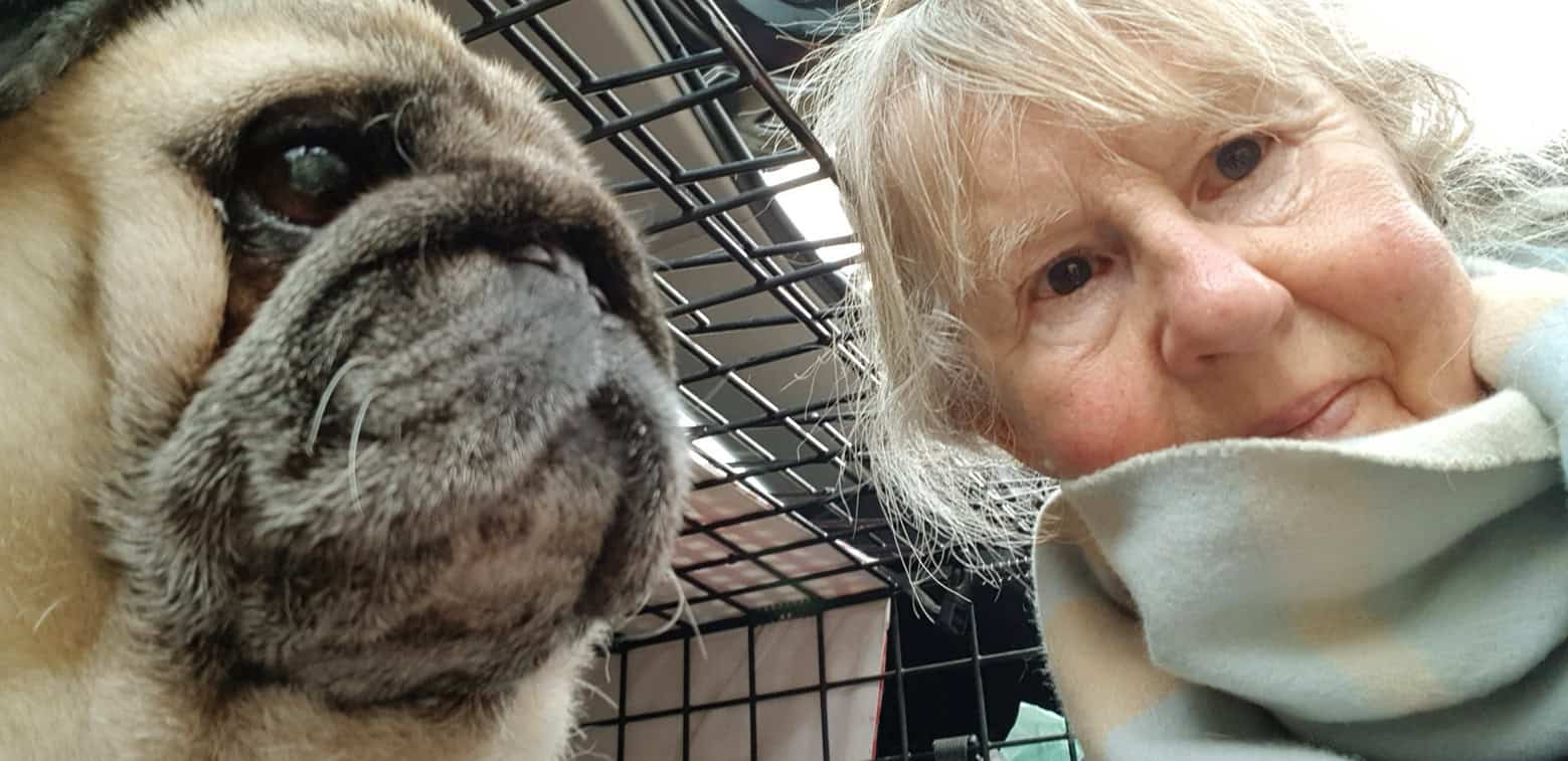 Could You Be a Volunteer Area Coordinator for the PDWRA?