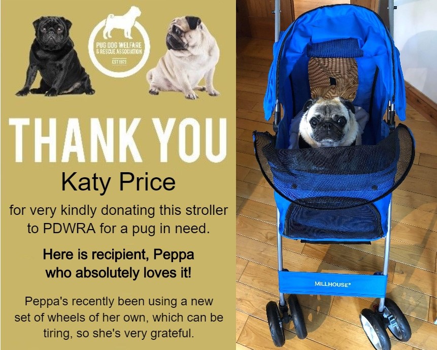 Donating to Pug Dog Welfare  The Pug Dog Welfare & Rescue Association