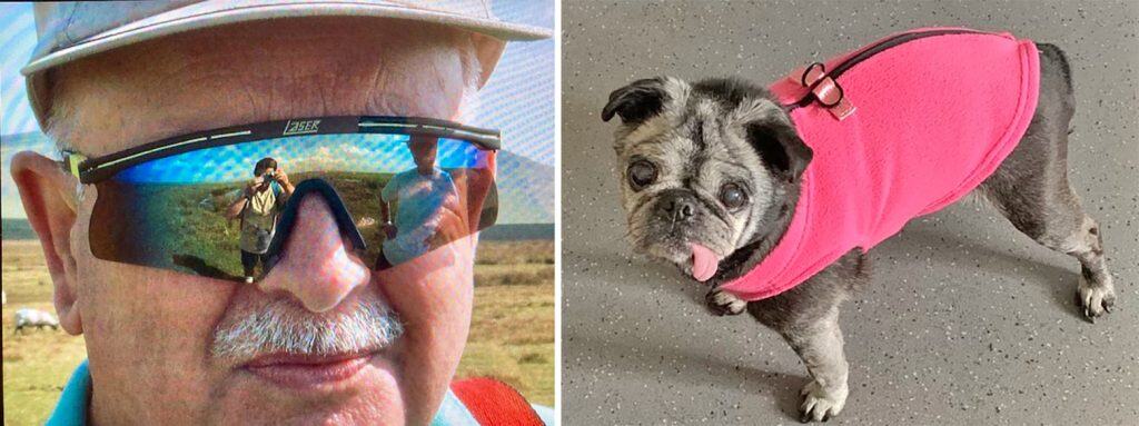Loveday the Pug