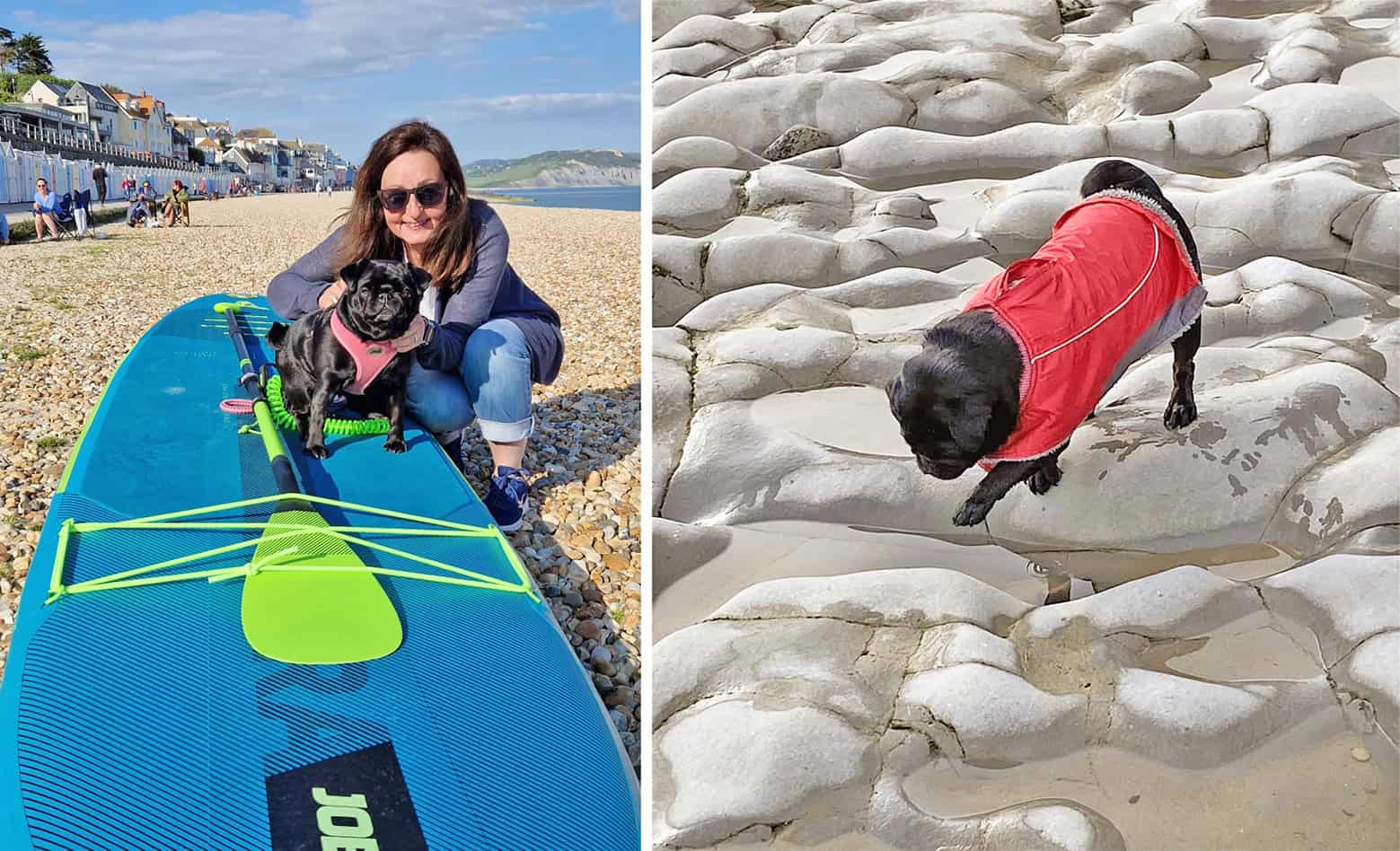 Our Journey as Pug Parents – Wendy Ribbons and Martha