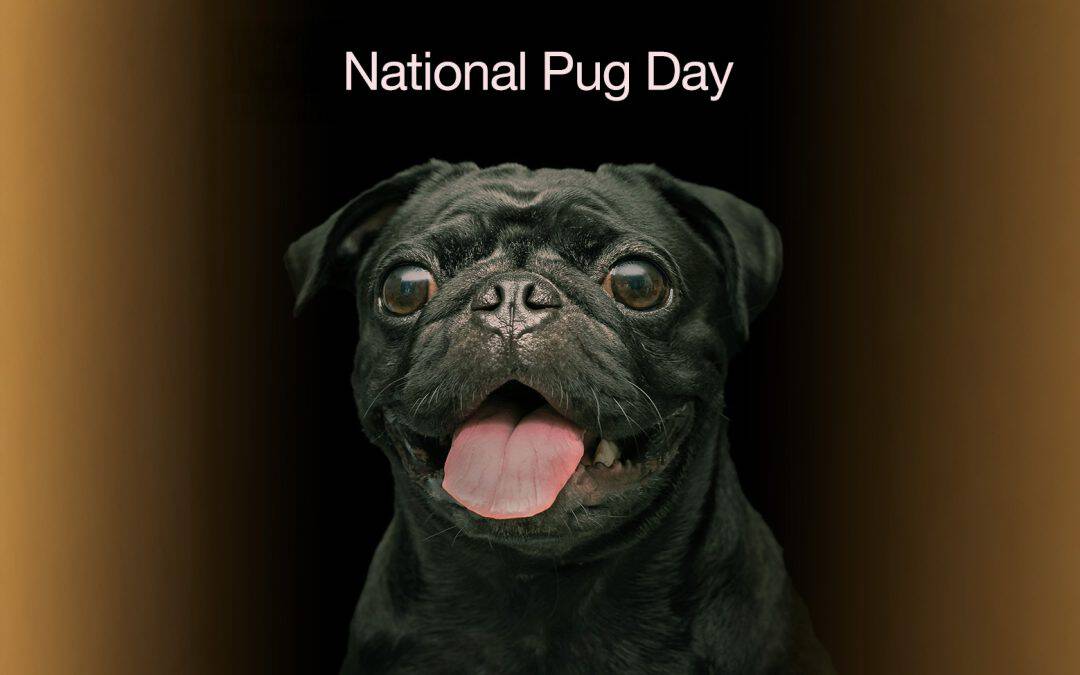 National Pug Day