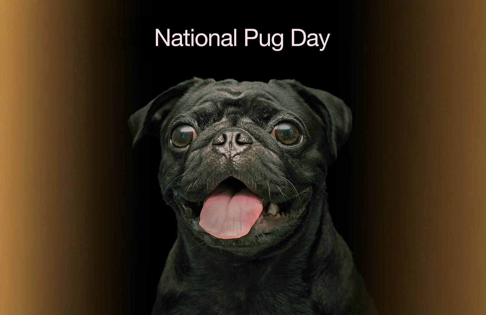 National Pug Day 2026