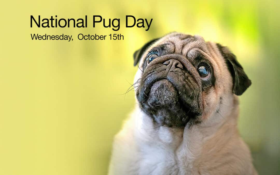 National Pug Day