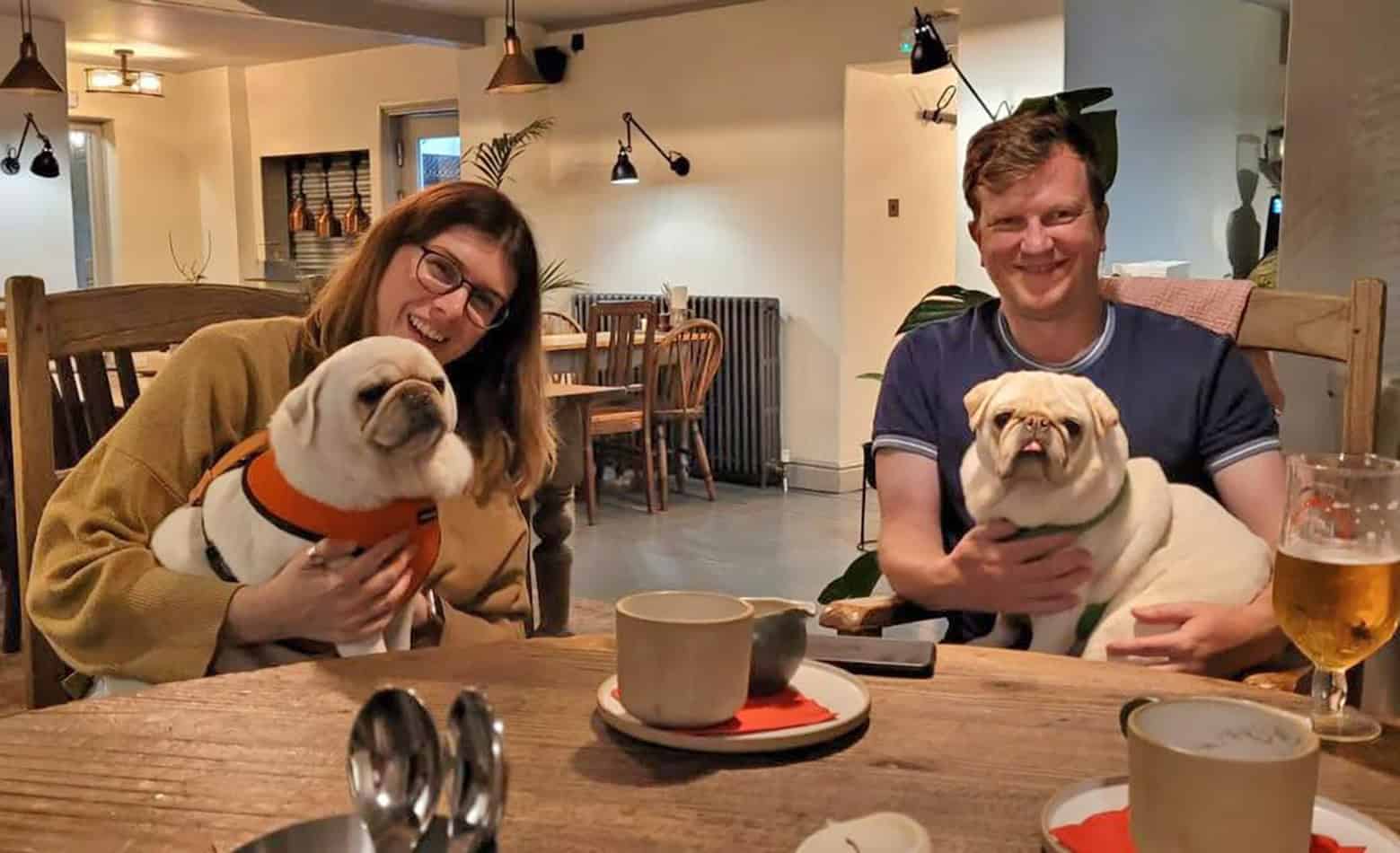 Ollie and Stan PDWRA Rescue Pugs