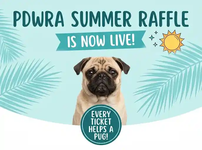 PDWRA Summer Raffle 2026