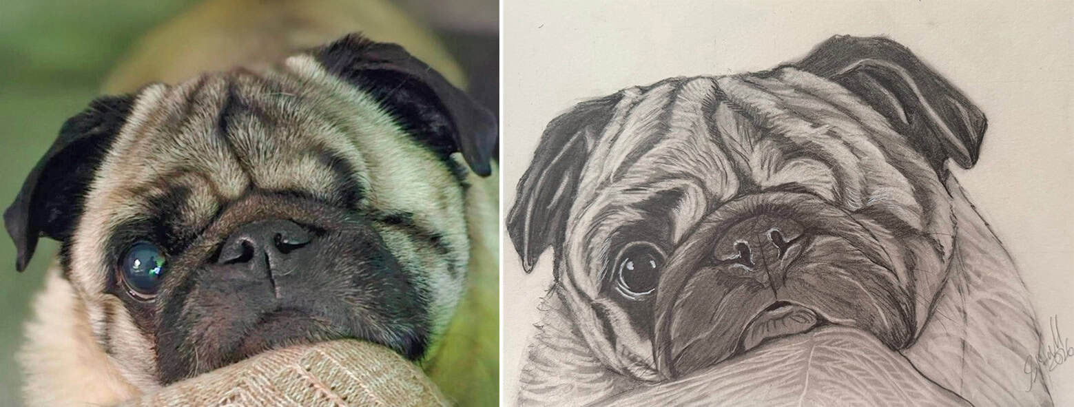 One of Shirley's Drawings