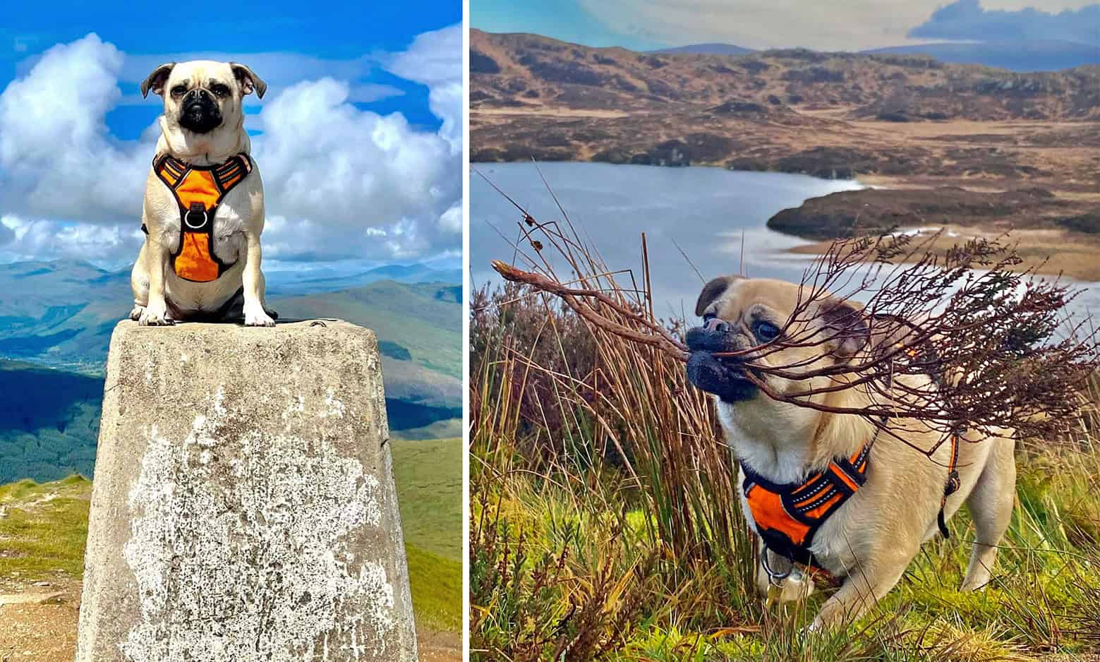 Alan’s Story of Adopting Soks