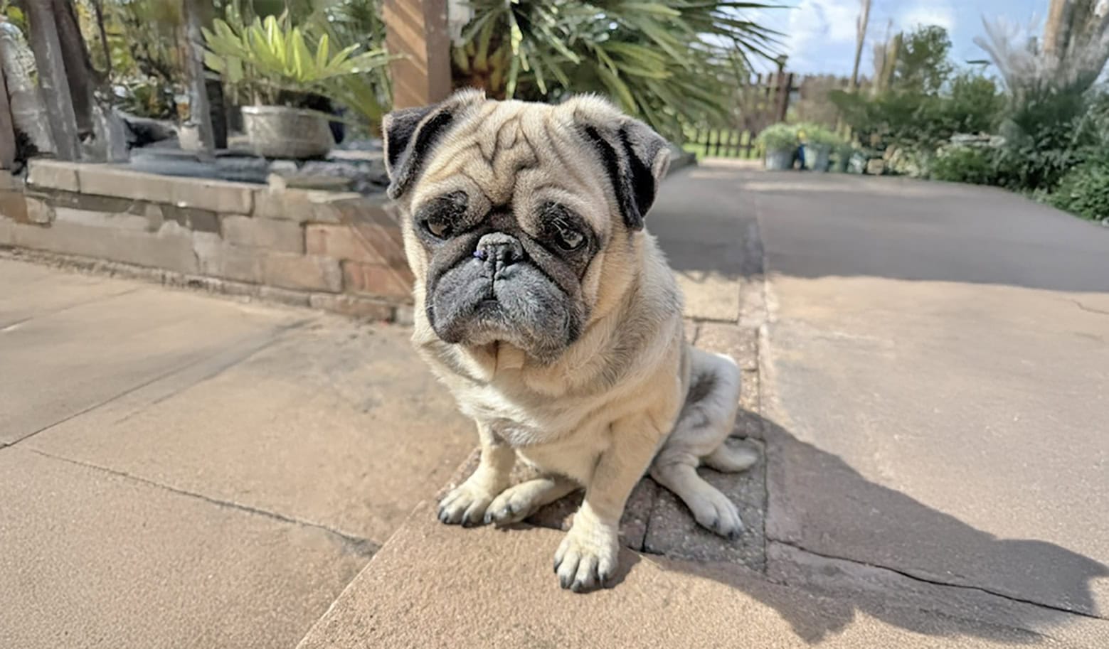 Update on Sunny