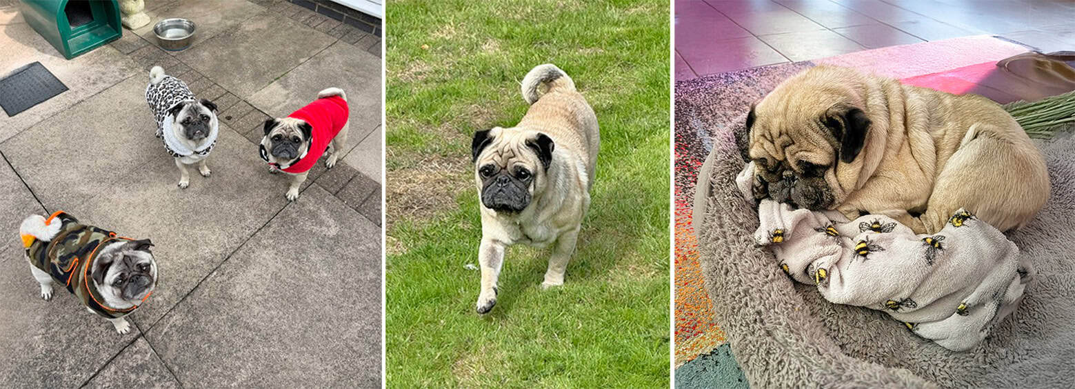 Sunny Appeal Update