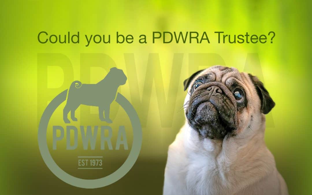 Become a Trustee of the PDWRA Poster