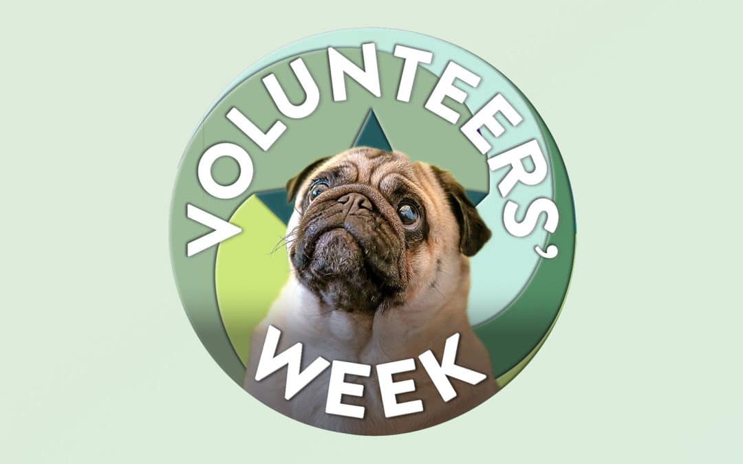 Volunteers' Week 2026